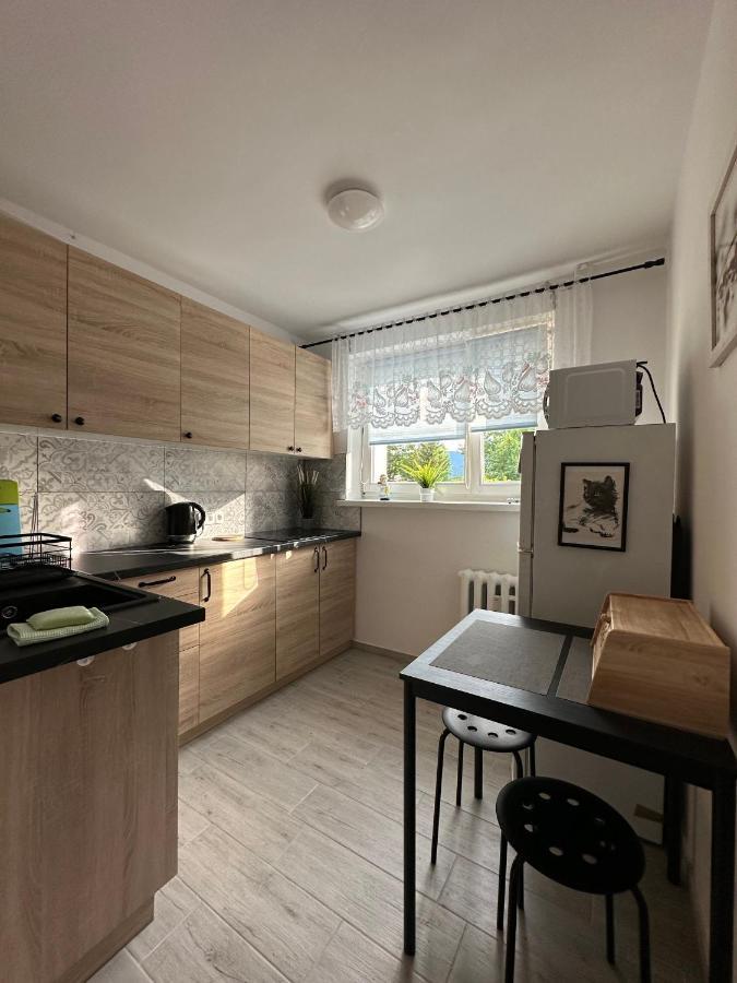 Tradycyjne Mieszkanie Przy Parku Norweskim Jelení Hora Exteriér fotografie